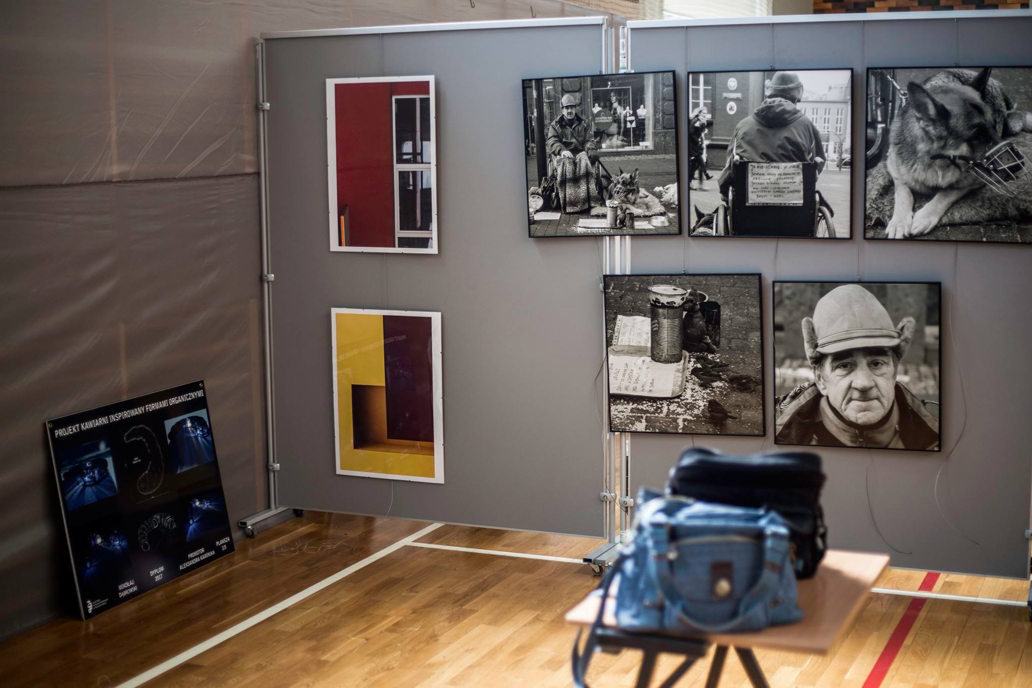 18836841 1268124566630428 2707250993008240629 o