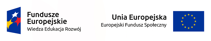 logo fe ue