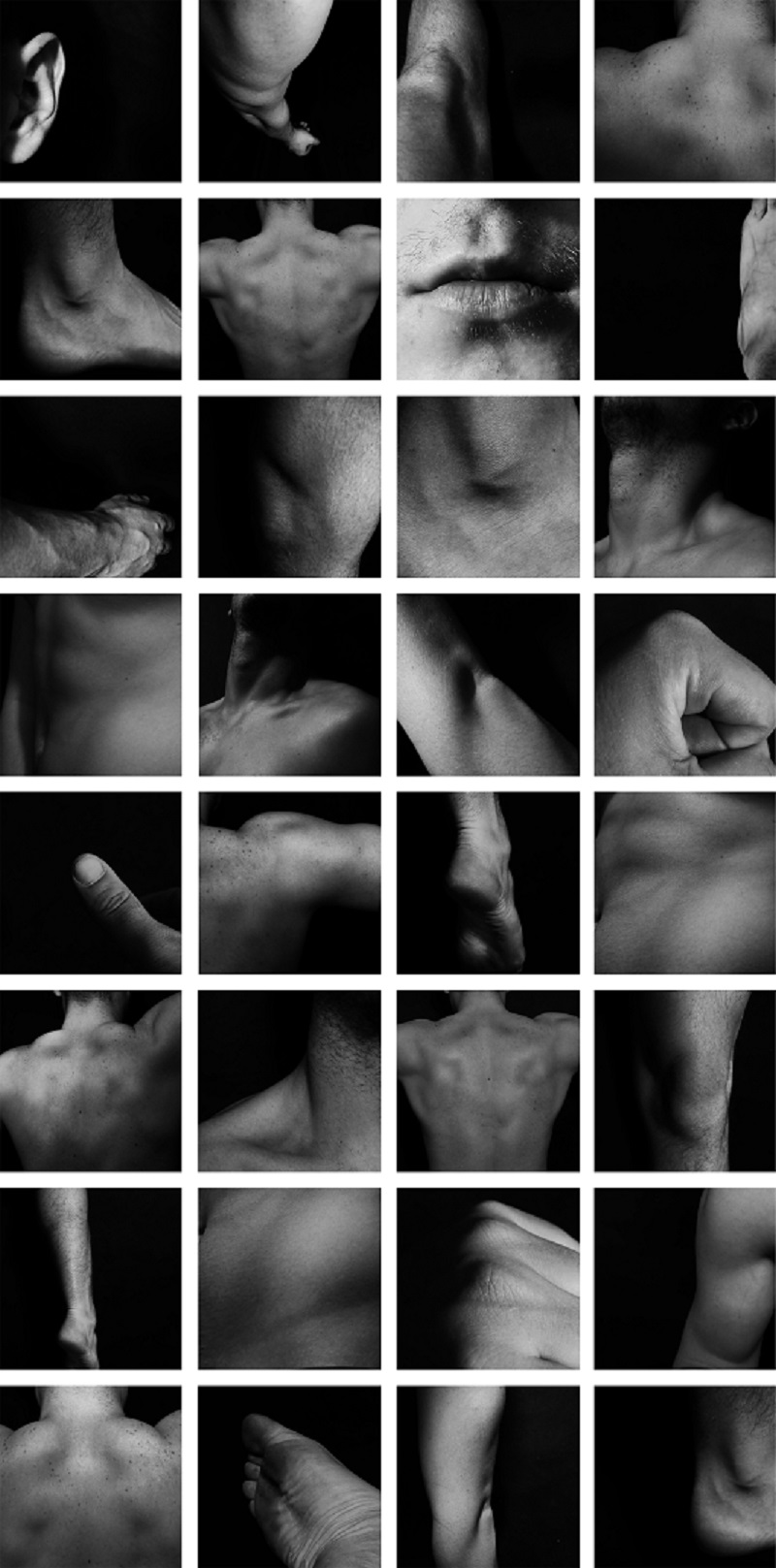 dominik kowalski dyplom